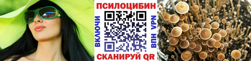Псилоцибиновые грибы ЛСД hydra маркетплейс Пустошка наркошоп