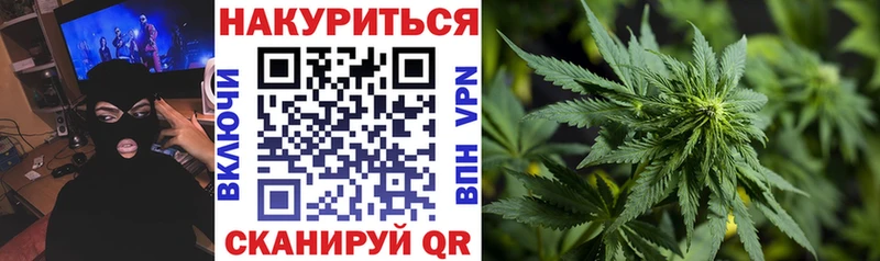 нарко площадка наркотические препараты  Пустошка  Бошки марихуана план 